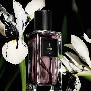 ✨️YSL Inspiring Ink MUSE MINI✨️